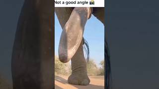 If you don't have the good angle to take a photo#Shorts#Funny#Viral           👺👍Follow me