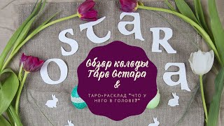 Таро Остары | Обзор колоды | Что у него в голове? | Таро расклад