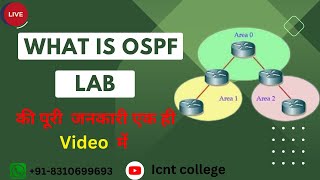 What is Area Border Router || What is ABR || What is OSPF || OSPF  Full class || in Hindi