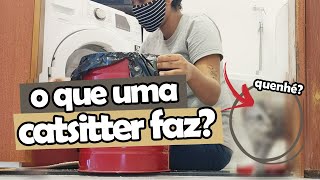 NOSSA ROTINA como CATSITTER | VLOCAT