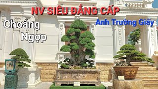 CHIÊM NGƯỠNG ĐÃ MẮT những TP * SIÊU ĐẲNG CẤP * vừa mới làm xong của anh TRƯỜNG GIẤY - TP Hải Dương .