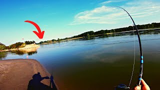 Some TOPWATER crazy strikes while searching for the summer ASP ...