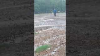 # Cricket in Rain