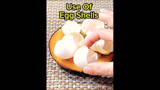 Use Of Egg Shells#youtubeshorts #ytshorts #yt #shorts #viral#eggshells#plantcare #plants womeniaatf