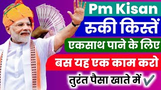 Pm Kisan की रुकी हुई सभी किस्तें एकसाथ पाने के लिए ये काम करना होगा | Pm Kisan 18th Installment Date