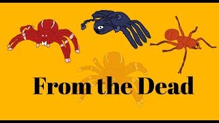 Bug World Production Music: From the Dead