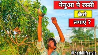 नेनुआ पे रस्सी कैसे लगाएं 🌱|DESHI LIFESTYLE 😎@niteshvlogup64