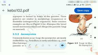 Kingdom Fungi Biological Classification Part 2