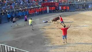 Fiestas Vacas Miami Playa ( tarragona) 2017