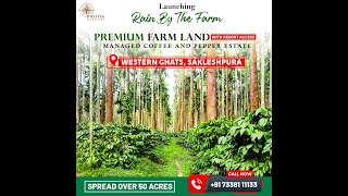 Rain by the Farm | Premium Coffee and Pepper Estate Farmland | Sakleshpura