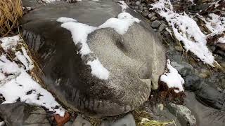 Wenatchee River Rocks 3