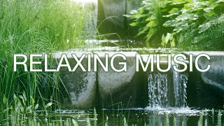 Relaxing Music 24/7 • Music for sleeping, music for studying, healing music for relaxation