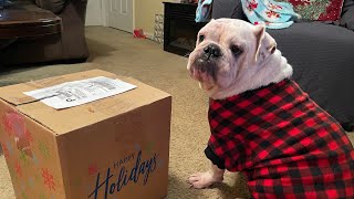 Secret Bullie | UNBOXING | Diamonds Christmas | 12th Annual, Carolina Pet Pantry