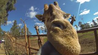 Gopro en familia