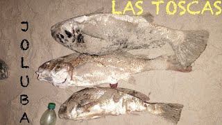 BUENAS CORVINAS RUBIAS EN LAS TOSCAS!!! PESCA NOCTURNA!!!