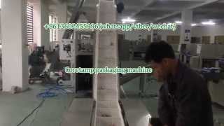 Automatic vertical biscuit flow packing machine