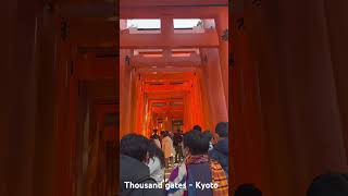 Thousand gates - Kyoto.. so much fun climbing the thousand gates