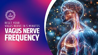 Vagus Nerve Frequency | Reset Your Vagus Nerve In 5 Minutes | Feel A Deep Sense Of Happiness