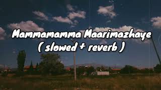 Marimazha | [ slowed + reverb] | Rasikan | Dileep | Vidyasagar | Earth Hut