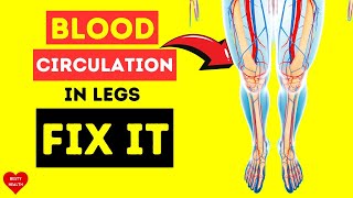 Improve Blood Flow & Circulation For Legs |Optimize Your Circulation