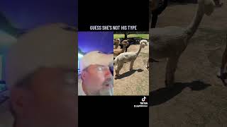 GUESS SHE'S NOT HIS TYPE #viral #zoo #funny #shortsvideo