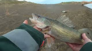 🔥Slab Slayers: Shore Fishing For Spring Walleyes.