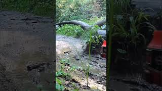 Crawling in mud with Trx4 🛻🚙 #rc #crawler #like #subscribe #shorts