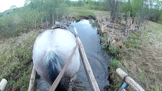 Самый лучший внедорожник или  35 секунд из жизни в деревне // КХ Алексеевых