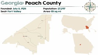 Georgia Peach County Tax Sale