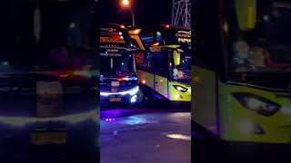 #bussimulatorindonesia #shortvideos #shorts #basuri #basurihorn #bismania #video