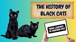 From Ancient Myths to Present: Untold Black Cat Stories