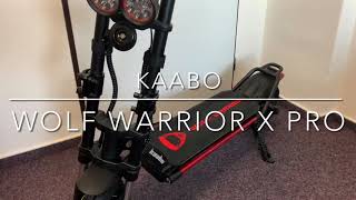 WOLF WARRIOR X PRO - first look after unboxing-Best equipped e-scooter from the box and ready to Go!