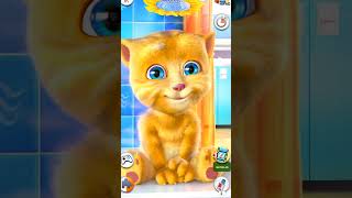 my talking tom android gameplay video 8753