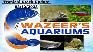 Tropical Stock Update 02/12/22