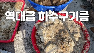 하수구 기름 역대급 입니다. 처음 보는 기름양 /대구 하수구 막힘