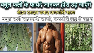 babool ki phali ke fayde heran || बबूल फली के पाउडर के फायदे, बबूल फलियों के अनेक फायदे Right Remedy