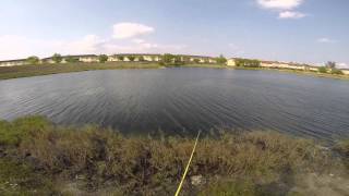 pond bass fishing