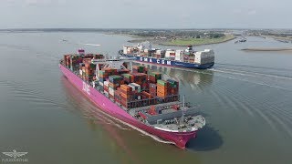 Schepen op de Westerschelde in 4K - augustus 2019