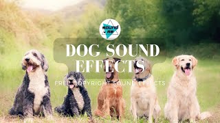 Dog Sounds Effects. FREE Copyright Sound Effects | soundME