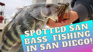 FISHING: CRAZY Fishing For The NEW YEAR | New Year New Spotted Bay Bass Fishing in San Diego