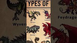 types of dragons part 1 #shortvideo