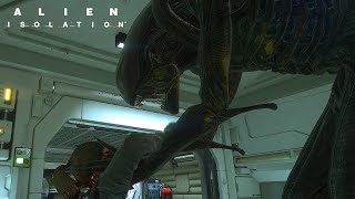 You killed my friend. Prepare to die. Alien Isolation Moment