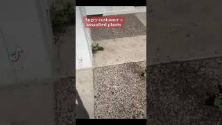 Angry customer assaulted plants