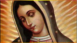 Mother Mary- O Most Gracious Mother