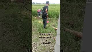 Mesin Potong Rumput 4 Tam