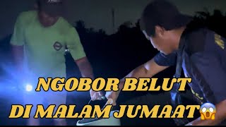 Ngobor belut di malam hari | nangkap belut sawah