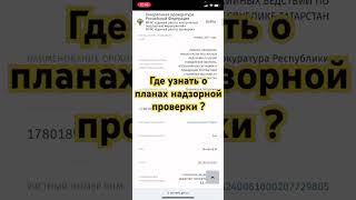 Где узнать о планах надзорной проверки ? #бизнес #проверка #деньги