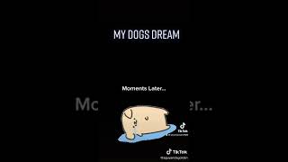 My dogs dream