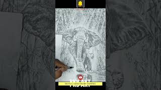 DRAW ELEPHANT IN FOREST