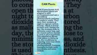 What is CAM plants|UGC NET|Environmental Science|Msc